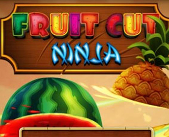 Fruit Cut Ninja Review