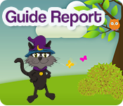 The CGG Guide Report
