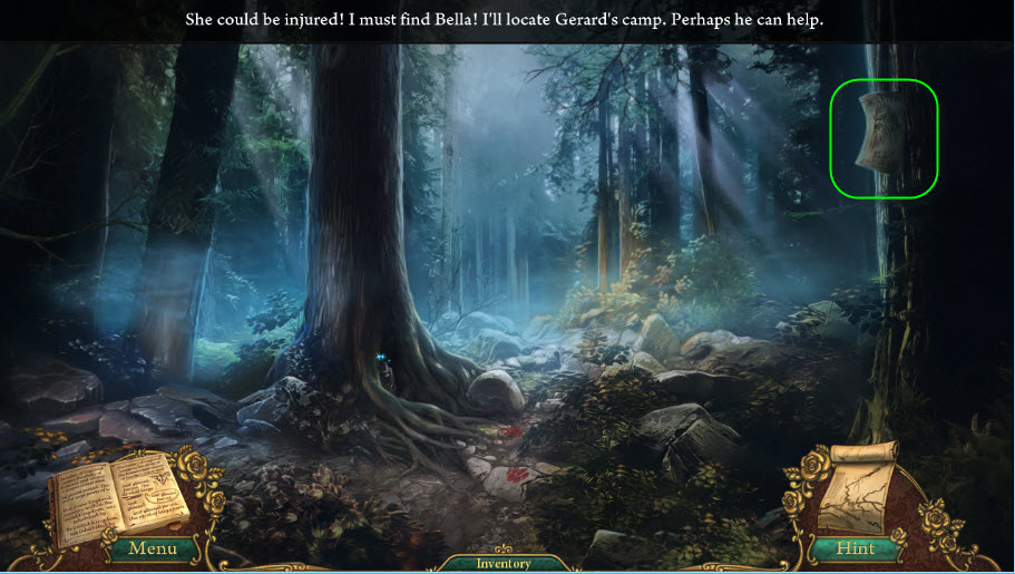 The Forest