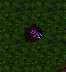 aveyond_gn:aveyond_spider.jpg